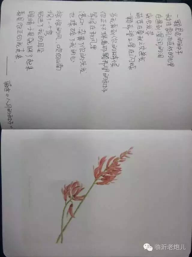 带着书本去旅行绘画,带着旅行箱去旅行绘画