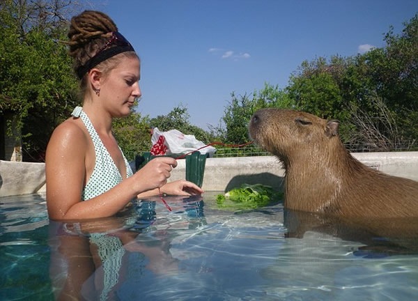 人见人爱车见车载花见花开,人见人爱花见花开车见车英文