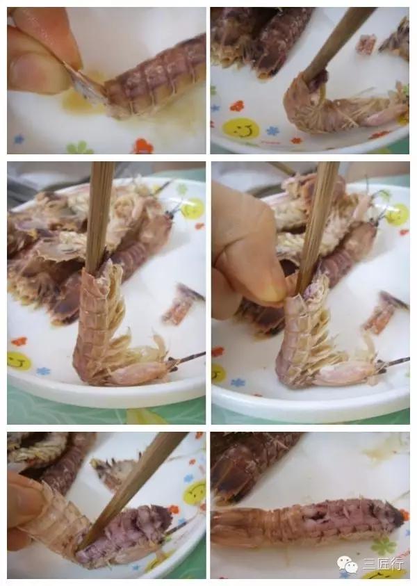 怎么挑皮皮虾视频,怎么挑皮皮虾带蛋