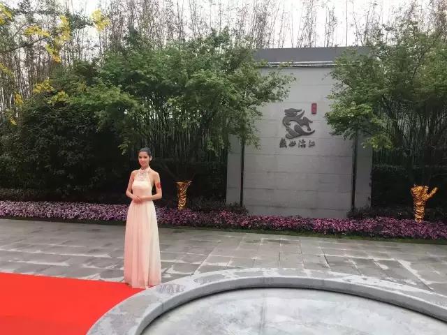 百家湖核心区纯新盘终于要来了,南京百家湖大平层新房