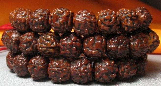 最常见的普通菩提子是哪种,菩提子种类大全图解