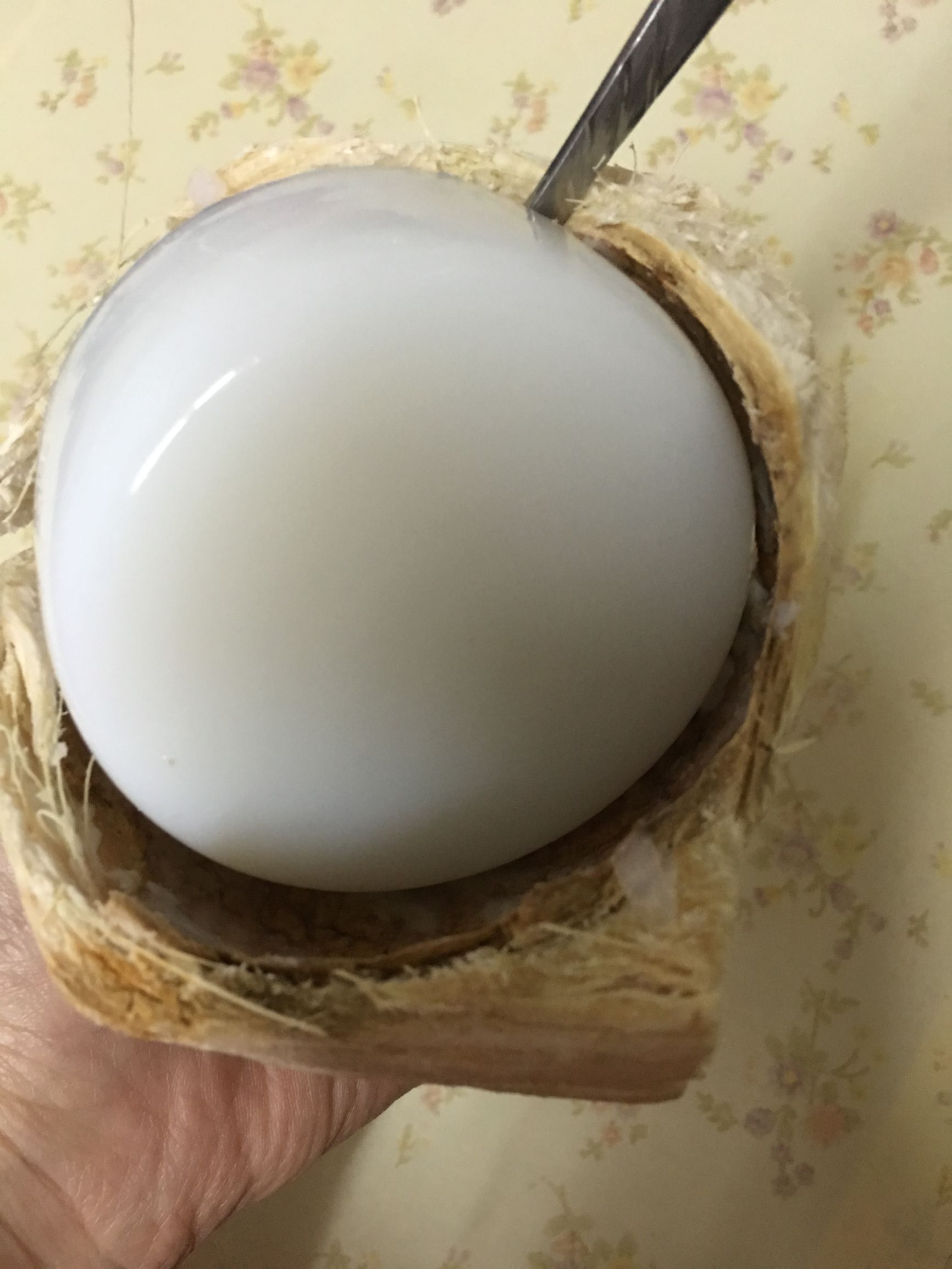 拔牙后可以吃什么美食,拔牙后吃什么好吃的食物