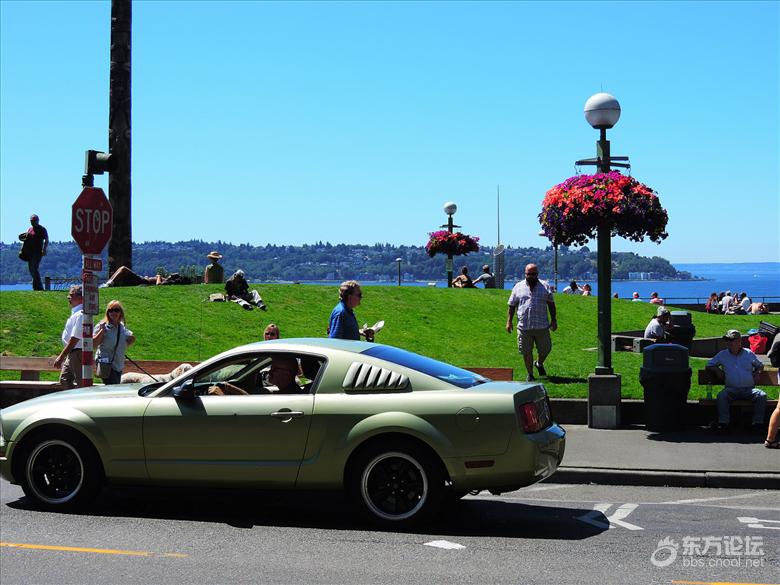 西雅图油价,西雅图油价多少钱