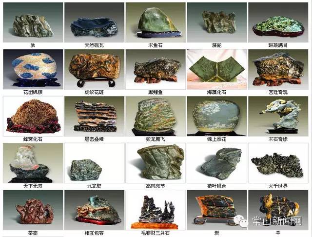 诗画常山·青石篇青石：在时空交错中赏石品柚