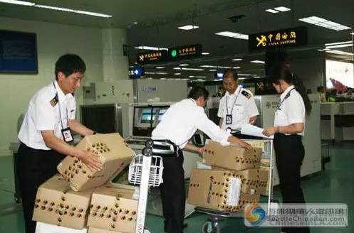 明年海淘有什么新政策 (海淘新政策有哪些)