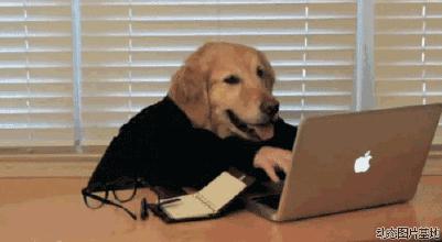 到底是谁说吃早餐不胖的,早餐喝啤酒可以吗