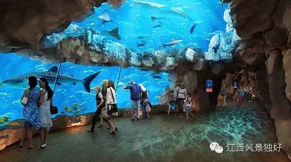 南昌万达海洋乐园在哪里,南昌万达海洋乐园主题公园