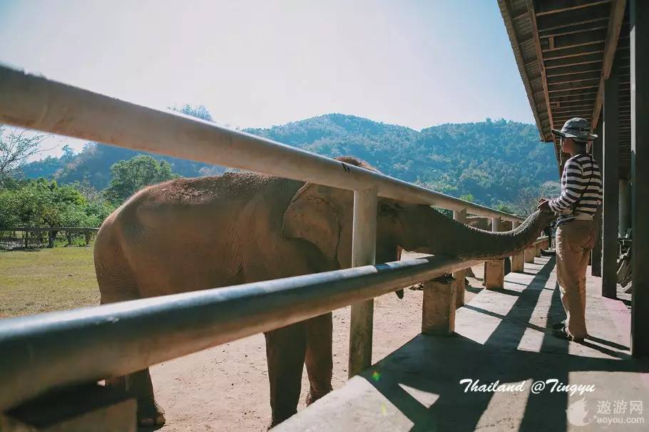 旅游攻略泰国免费,攻略带你了解最美的泰国景点