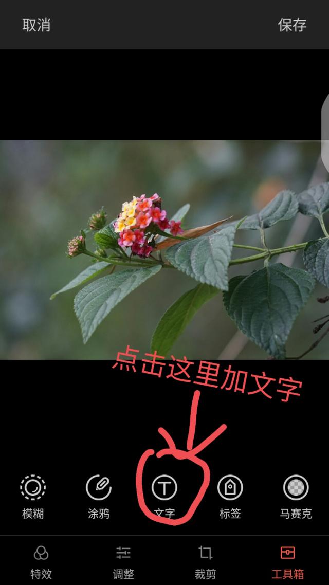 怎么在手机照片上加上时间日期,手机照片上怎样加日期和地址