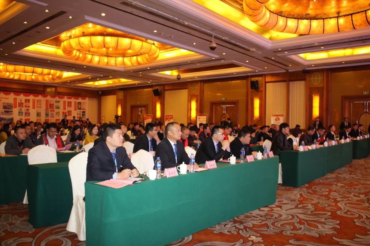 亮剑九江：施可丰南方营销公司成立，强势进军南方市场