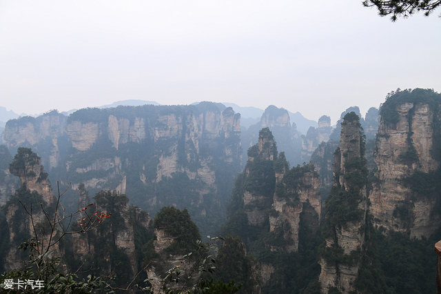 奥迪卓悦服务分为哪四方面,奥迪卓悦服务注意什么