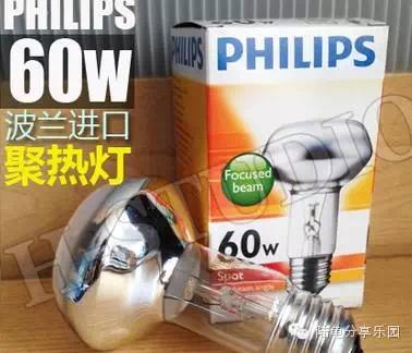 东莞养龟设备,养龟的一套设备大约多少钱