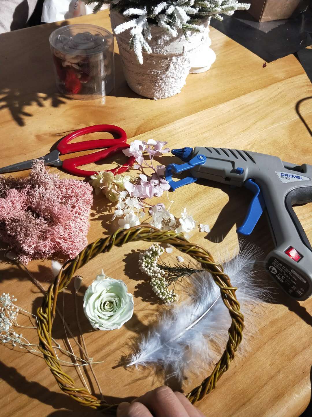 永生花绽放在记忆的长河里,永生花一生守候