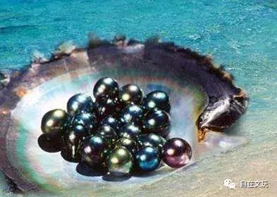 世界杯32强有哪些,世界杯32强所有比分