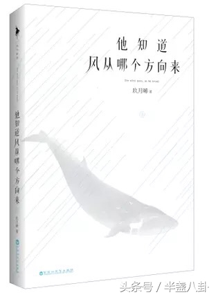 令人惊艳的公路文,超经典的公路文推荐