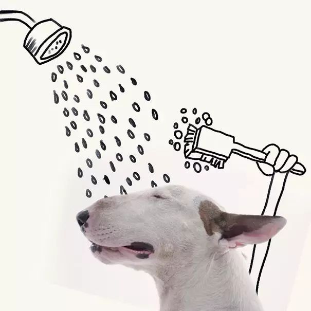 傲娇的老佛爷也要每天看Ta脸色