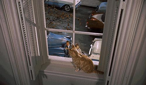 买不起的毛线球,8万7的tiffany毛线球