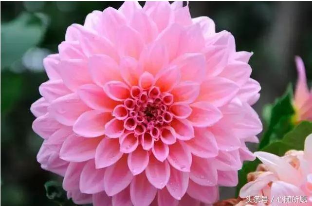 内服外用维生素e和c能祛斑吗,美容圣品维生素e的外用方法