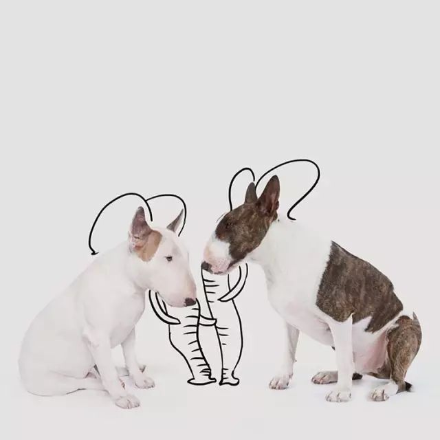 傲娇的老佛爷也要每天看Ta脸色