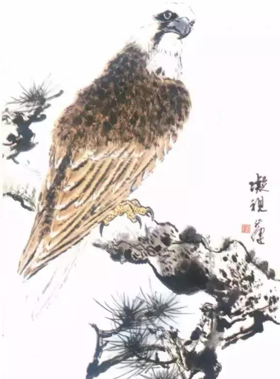 国画写实鹰怎么画,国画画鹰的技法