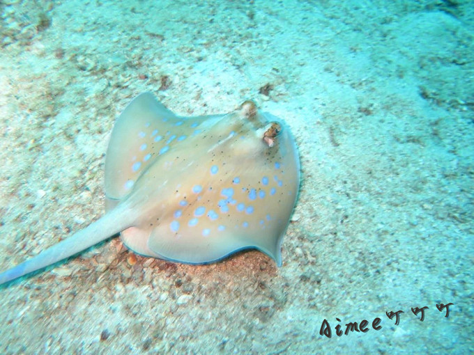 阳光沙滩与海边,阳光与沙滩结局