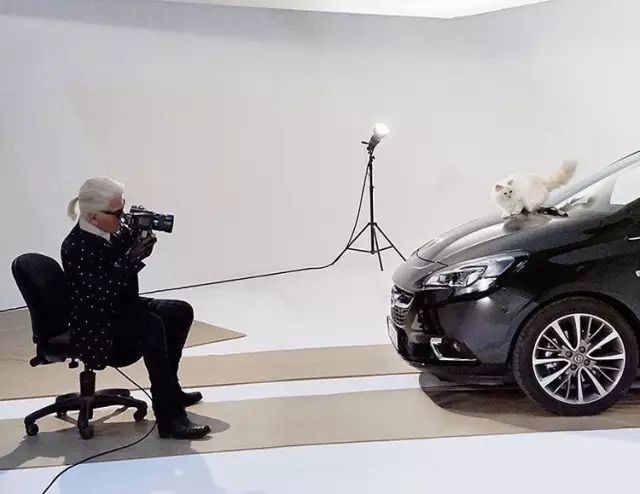 傲娇的老佛爷也要每天看Ta脸色