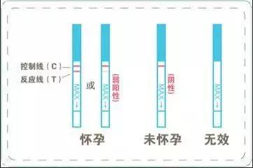 验孕棒两条杠怀孕先别急着下结论,验孕棒两道杠却来月经
