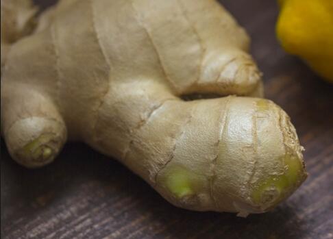 新农村创业适合做的几个生意项目,农村创业致富的好项目种植