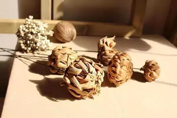 怎么把鲜花做成标本不会枯萎,透明树脂胶怎么制作鲜花标本