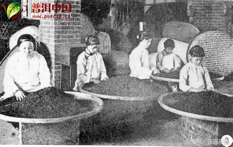 闽南乌龙与闽北乌龙制茶工艺,白茶制茶工艺流程及原理的讲解