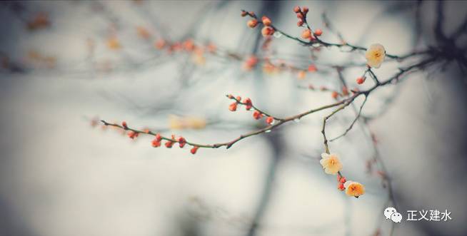 大智若愚的最高境界前一句话,处世警句经典古句摘抄