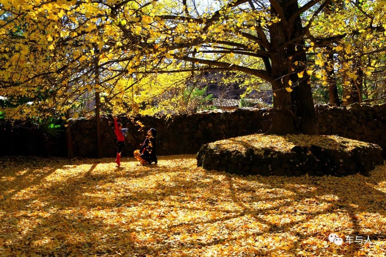 腾冲一个清净古朴的边陲小城,腾冲避暑旅居推荐