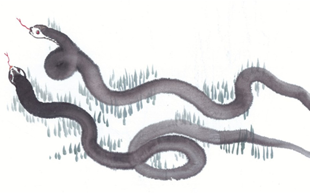 十二生肖哪个是趋吉避凶最灵敏的,12生肖如何化解破财衰运