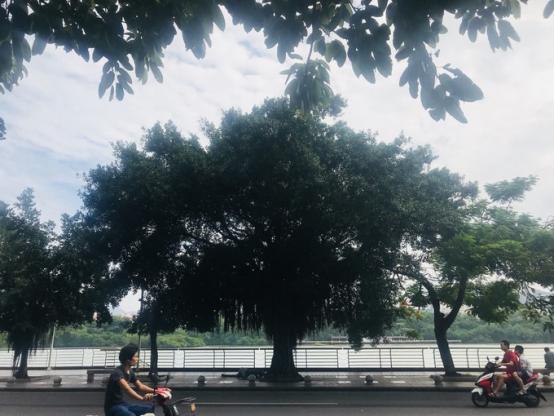 三亚吃喝玩乐亲身攻略——两匹北方的大姑娘吃喝玩乐在三亚