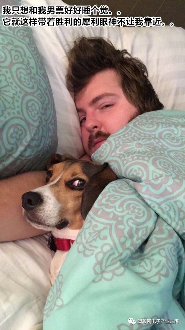 再不脱单 连HR都不要你了