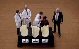 过期的食物不能吃动画短片,食物过期也不能扔