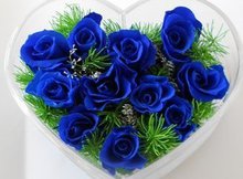 玫瑰花语的准确意思,玫瑰真正的意义