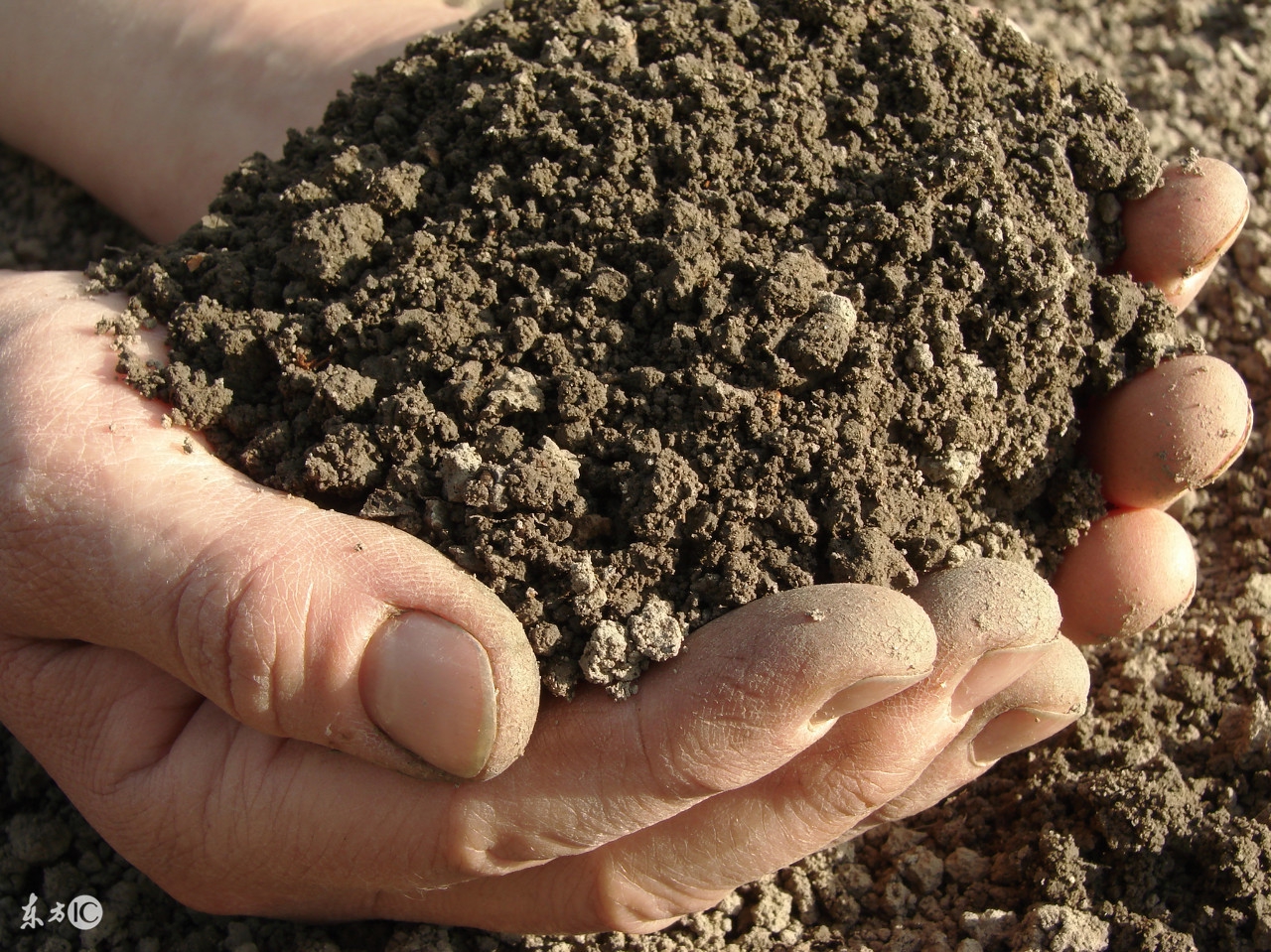 金木水火土你属什么,金木水火土你是哪种命