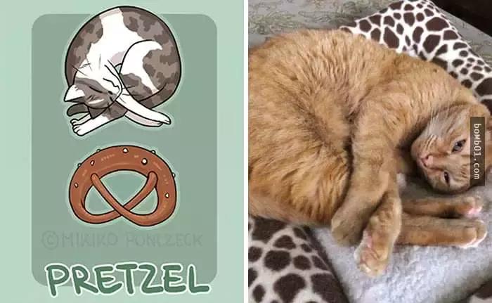 传说中猫有九条命分别是啥,传说中有9条命的猫