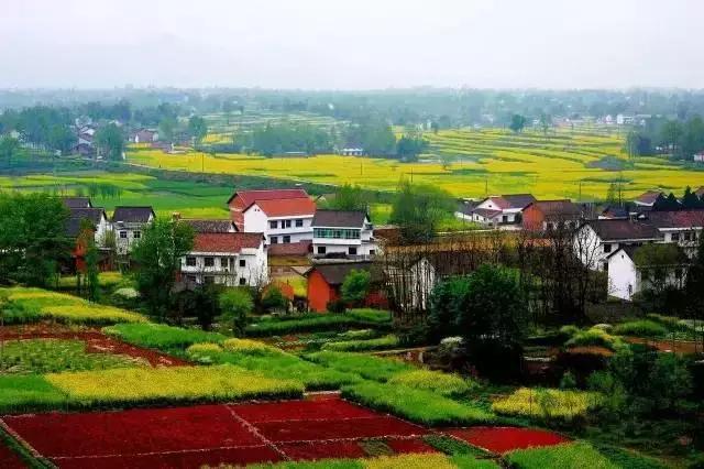 成都西成高铁旅游攻略,西成高铁和川青铁路