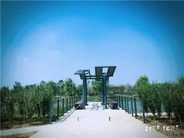 郑州公园推荐免费十一月,郑州免费公园景点推荐