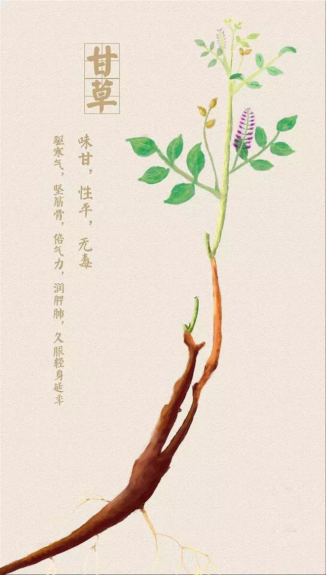 什么补气血补雌激素,调理内分泌激素平衡的食补