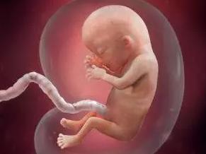 胎儿在肚子里听的声音响吗,胎儿在肚子里滑到一边