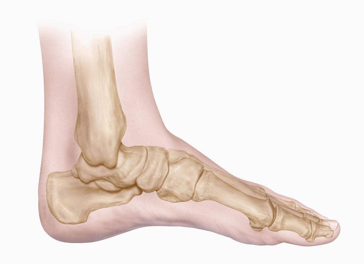 不要等受伤了才知道身体的重要性,别等到受伤了才知道疼