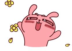 南方人参批发市场,正宗东北人参产地直销