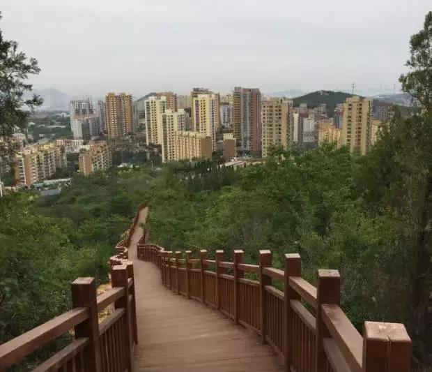 大连星海广场改造现在能玩吗,大连星海广场改造后的效果图