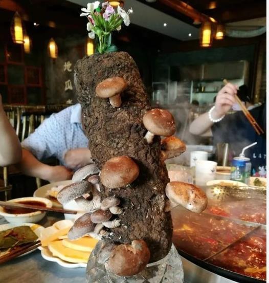 现实版千与千寻美食城,现实中的千与千寻