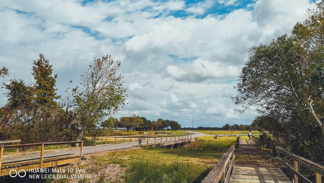 鍐呭崕杈惧窞鑻辨枃姝屾洸,鍐呭崕杈惧窞鐨勬瓕