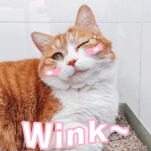 吃土女孩必买的护肤品,吃土女孩必备大牌