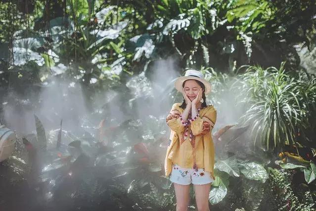 厦门旅游自由行攻略,厦门自由行旅游攻略